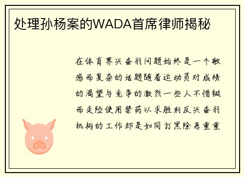 处理孙杨案的WADA首席律师揭秘